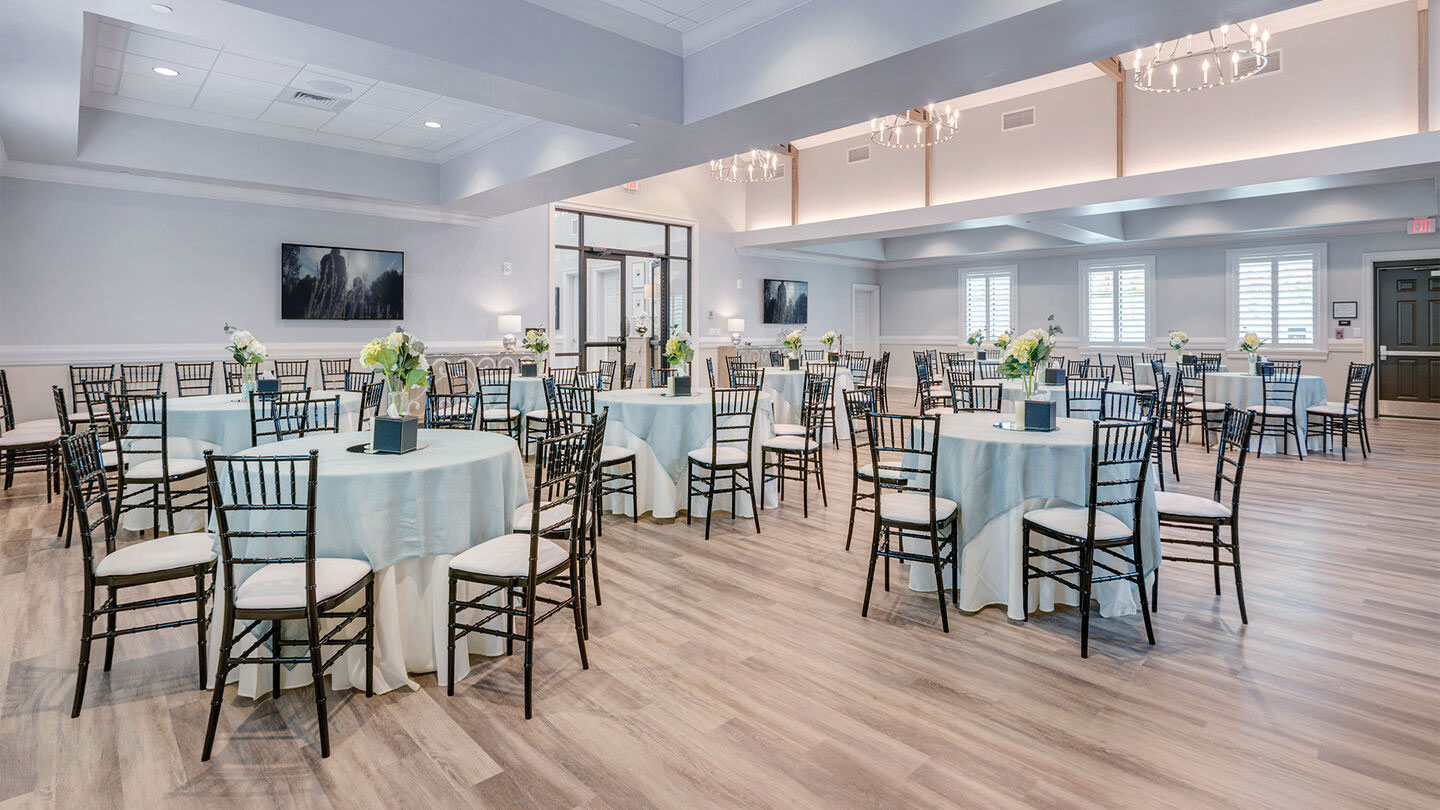 Temp image placeholder